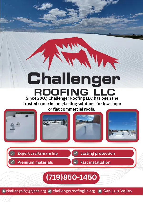 A real roofing-company ad from a Locals Supporting Locals mailer